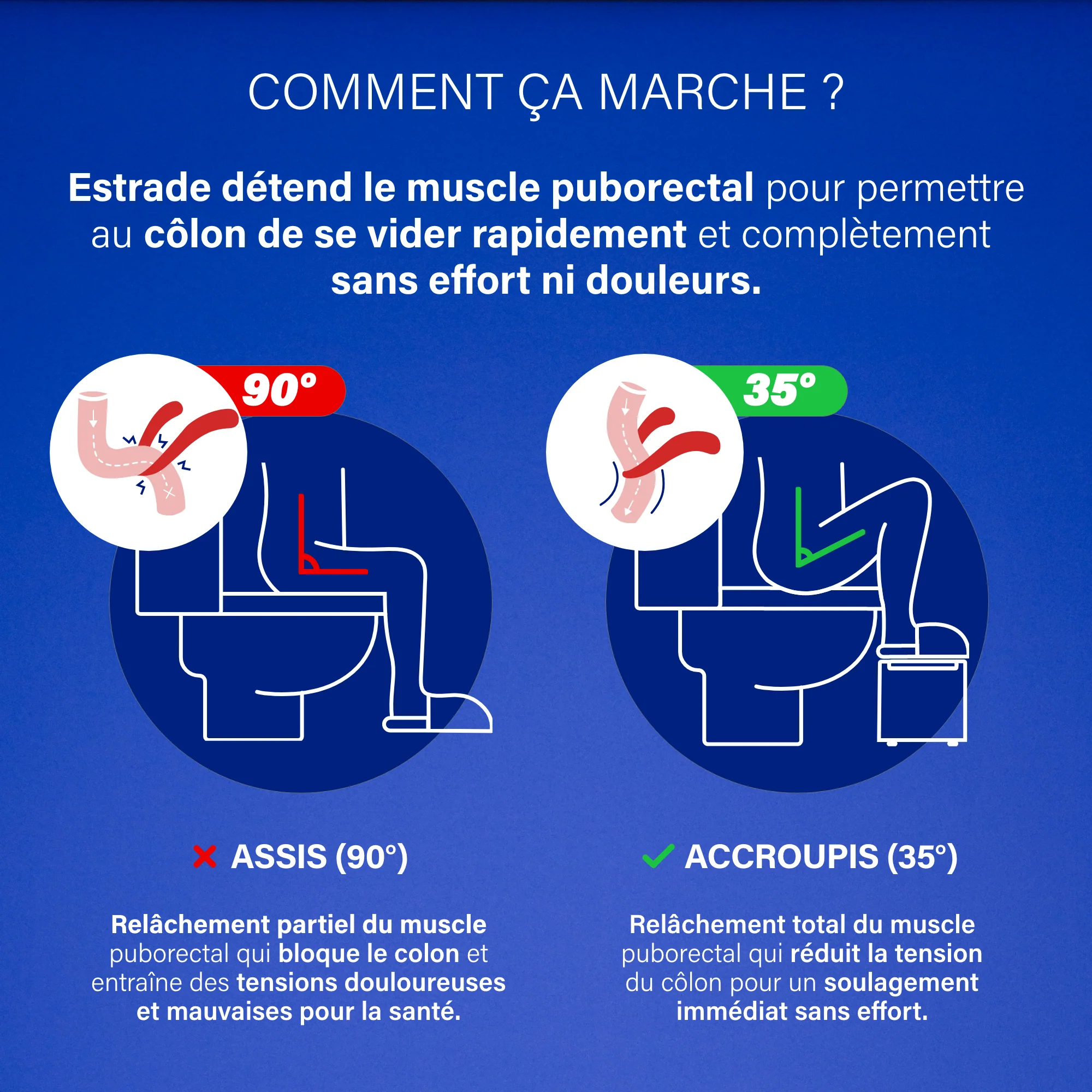 Tabouret Physiologique Estrade - Image 5